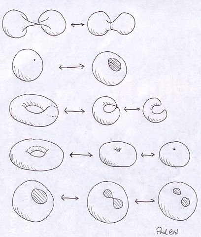 File:Membraneinteractions.JPG