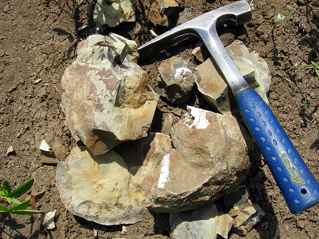 File:BrokenConcretion22.jpg